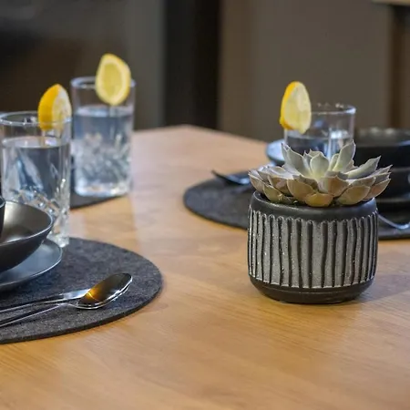 Apartament Industrie Loft 1903 - Parkfrei - Netflix - Zentral *